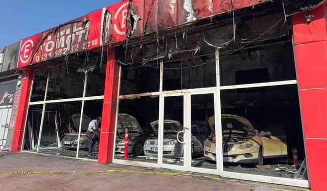 Yakalanan kundakçı suçunu itiraf etti