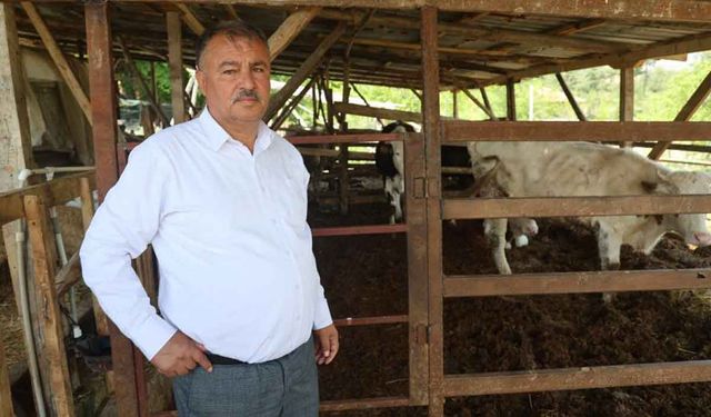 Üretimden kopamayan Başkan Pütün; "10 yıl sonra tarım üretimi yapacak kimse kalmayacak"