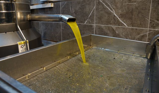 Zeytinyağı fiyatları belli oldu, fiyatlarda artış yaşandı