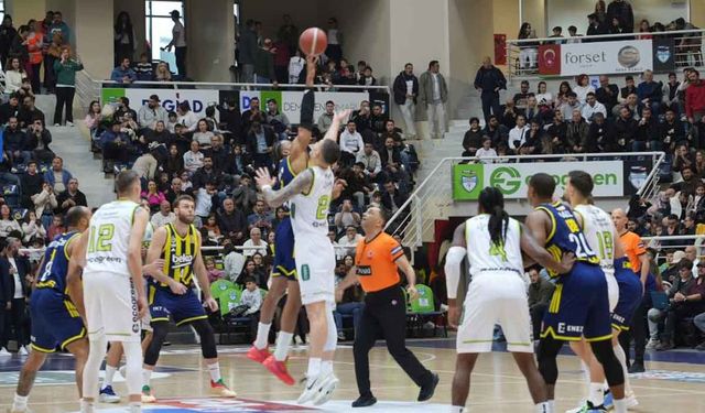 Merkezefendi Belediyesi Basket-Fenerbahçe Beko: 64-87