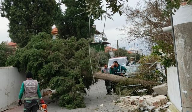 Pamukkale Belediyesi  Ekiplerinden Fırtına Ve  Sağanak Yağışa   Hızlı   Müdahale