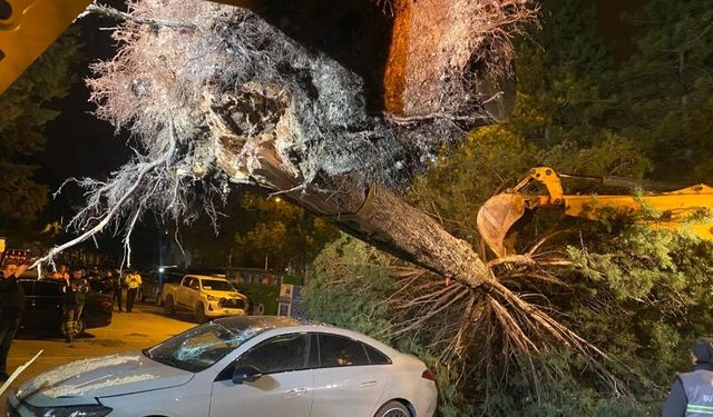 Pamukkale Belediyesi'nden  fırtına  nöbeti