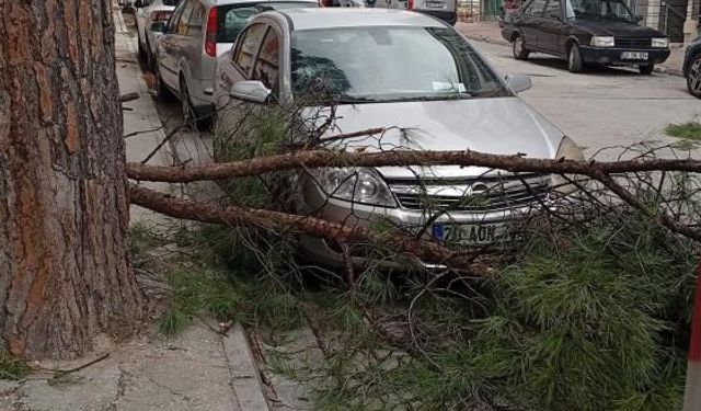Buldan’da ağaçlar devrildi, bacalar uçtu