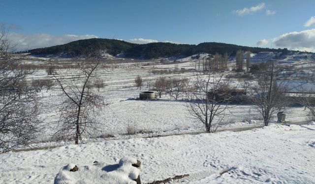 Buldan’da yılın ilk karı üreticileri sevindirdi