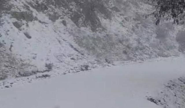 Yazın yanan orman sahası beyaza büründü