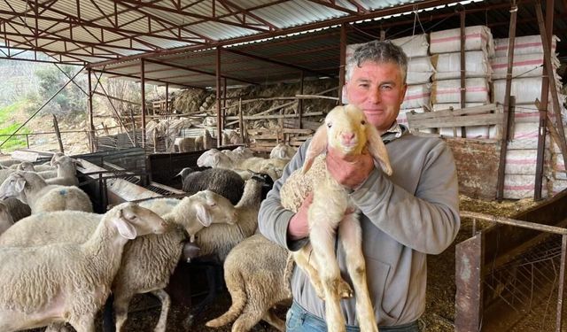 Soğuk havalarda gerçekleşen doğumun ardından üreticilerin yüzü güldü