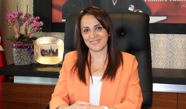 Denizli 'de Sağlık  Hizmet  Verileri