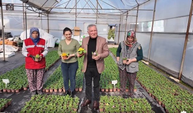 Honaz'da 8 Mart'a özel 8 bin çiçek kadınlara dağıtılacak