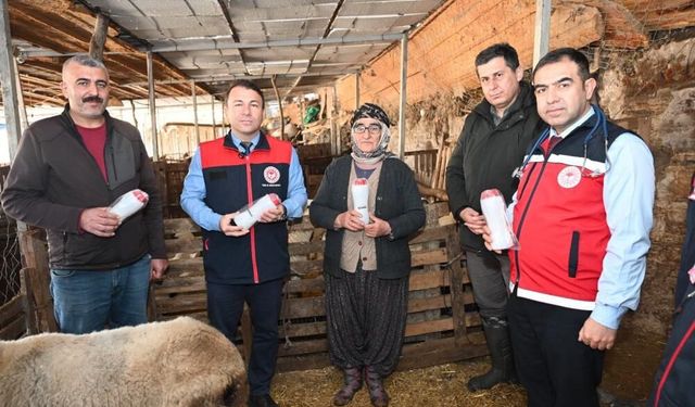 Tarım teşkilatı koyunu 9 doğuran besiciyi ziyaret etti