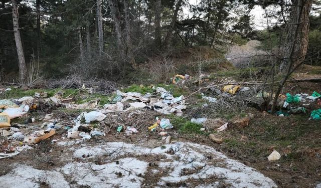 Doğanın kalbine çöp doldurdular