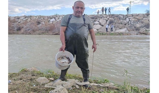 10 yıllık kuraklığın hakim olduğu çayda balık avladılar