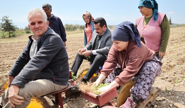 Başkan Ertemur Makam'da Degil Tarlada Ter Döktü
