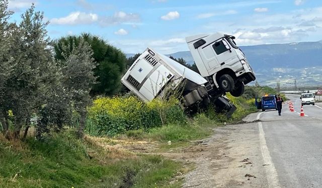 Bağa giren tır şaha kalktı