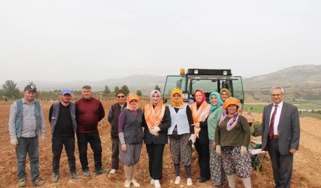 Poşusunu takan Kaymakam Kuran üreticilerle birlikte kekik dikti