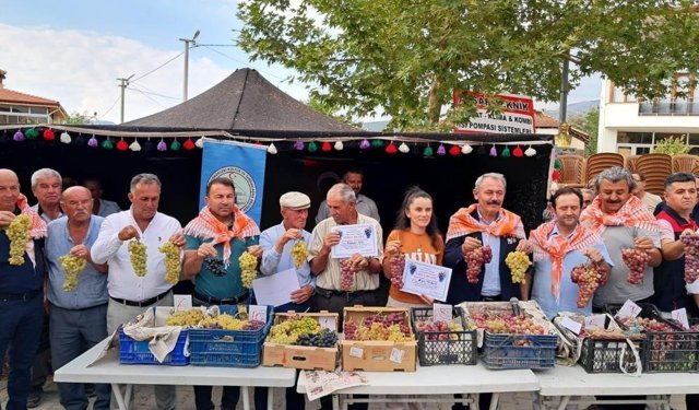 Avşar Üzümü coğrafi işaretle tescillendi