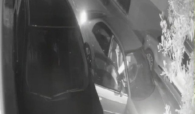 Otomobilden yol kenarına atılan kadının yardım çığlıkları