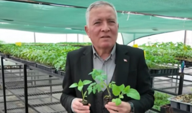 Honaz'da Tohum Takas Şenliği başlıyor