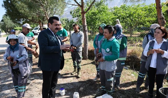 Pamukkale'de 823 Kilometrekarelik Alanda Yabani Ot Mesaisi