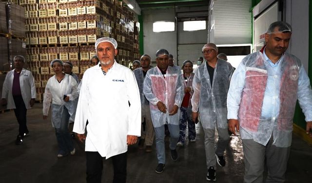 Türk Kirazı Tek Yön Çin Biletini Almak Üzere