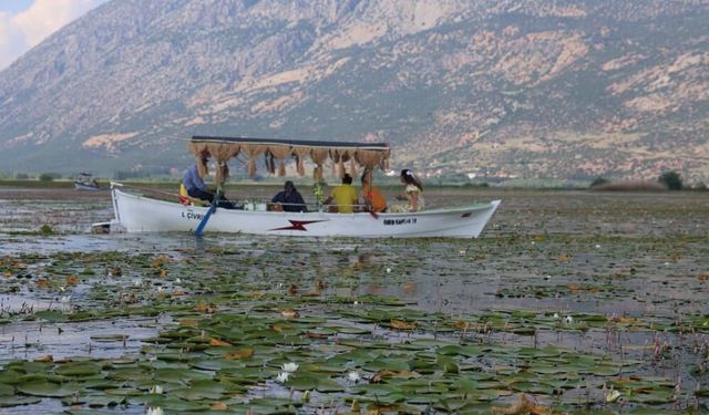Aşırı Yağışlar Nilüferlerin Görsel Şölenini Geciktirdi