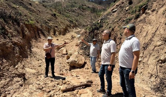 Buldan’da Ormanlar İçin Kalıcı Çalışmalar Başladı