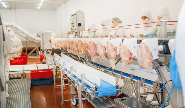 Denizli'de Beyaz Et Sektörün'de 13 Şirkete Soruşturma