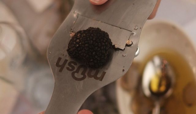 Denizli, Trüf Mantarıyla Yeni Bir Marka Değeri Oluşturuyor