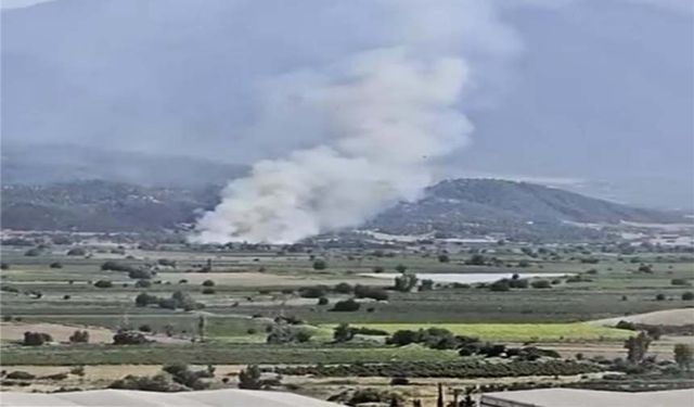 Denizli’de Ormanlık Alana Yakın Bölgede Arazi Yangını Çıktı