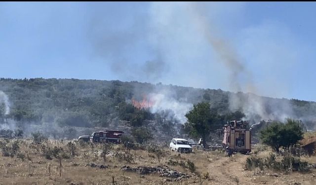 Arıcının Tütsüsü Ormanı Yaktı