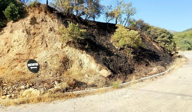 Bostanyeri’nde Örtü Yangınında Alevler Büyümeden Kontrol Altına Alındı