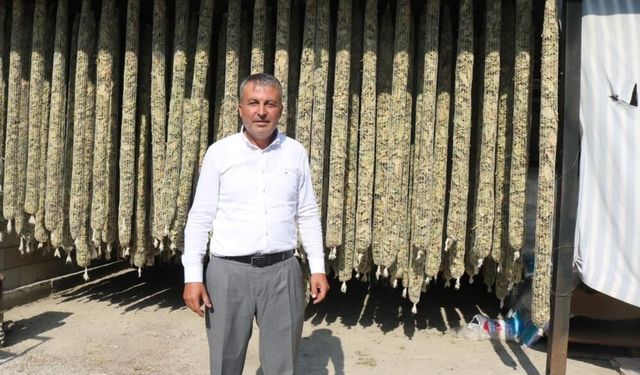 Çivril’de Elma Bahçeleri Tütün Tarlalarına Dönüşüyor