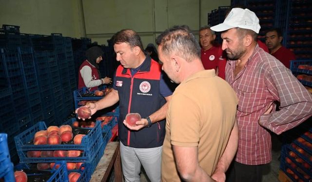 Çivril'de Şeftalinin Üretimden Pazarlamaya Yolculuğu İncelendi