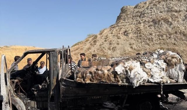 Denizli'de Bir Yıllık Emekleri 15 Dakikada Küle Döndü