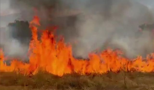 Denizli’de Zirai Alanda Çıkan Yangın Kısa Sürede Kontrol Altına Alındı