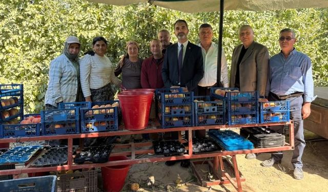 Çivril’de Zor Bir Sezon Geçiren Şeftali Üreticilerinin Sorunları Yerinde Dinlendi