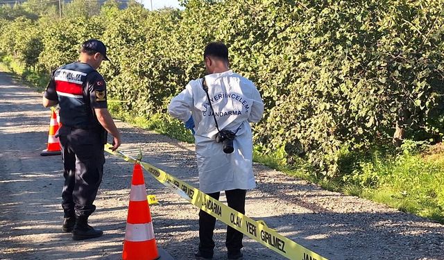 Denizli'de İncir Tarlasındaki Kavgada Kan Aktı