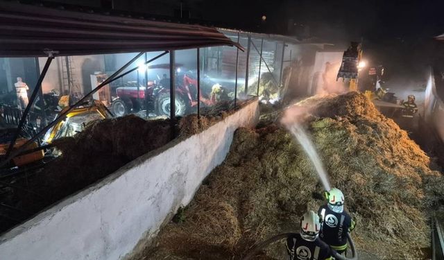 Denizli'de Besihanede Çıkan Yangın Söndürüldü