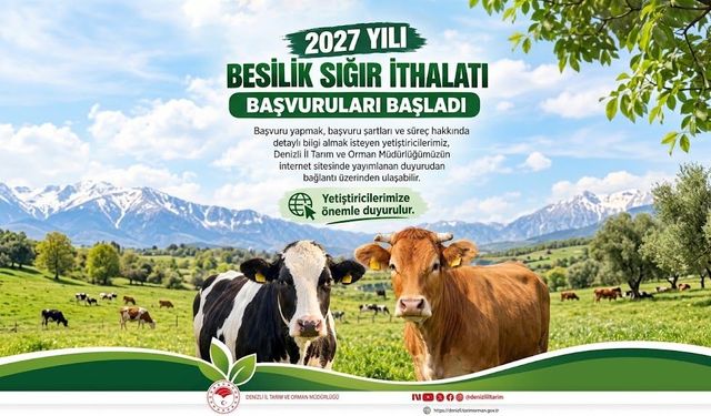 Denizli'de 2027 Yılı Besilik Sığır İthalatı Başvuruları Başladı