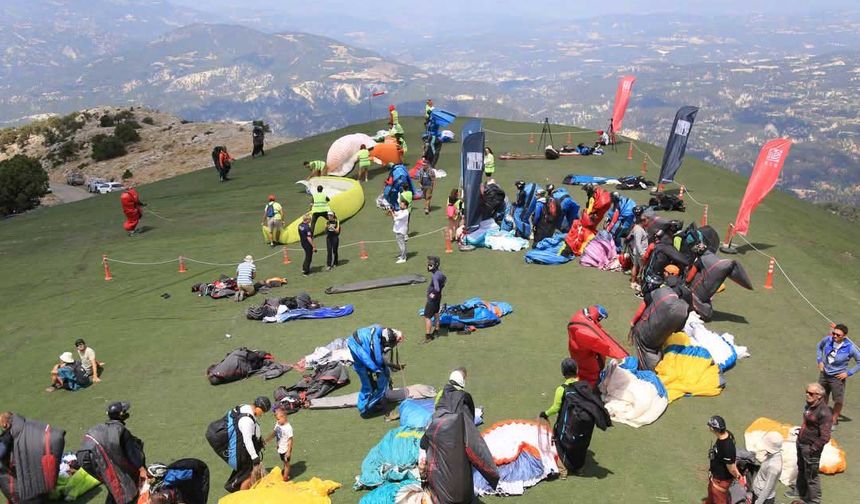 Çameli ismini dünyaya duyuruyor