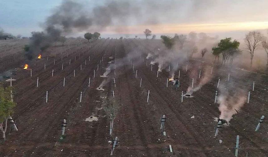 Çiftçiler sabaha kadar ürünlerini korudu