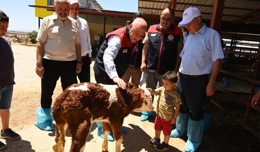 Denizli Hayvancılıkta Öne Çıkıyor