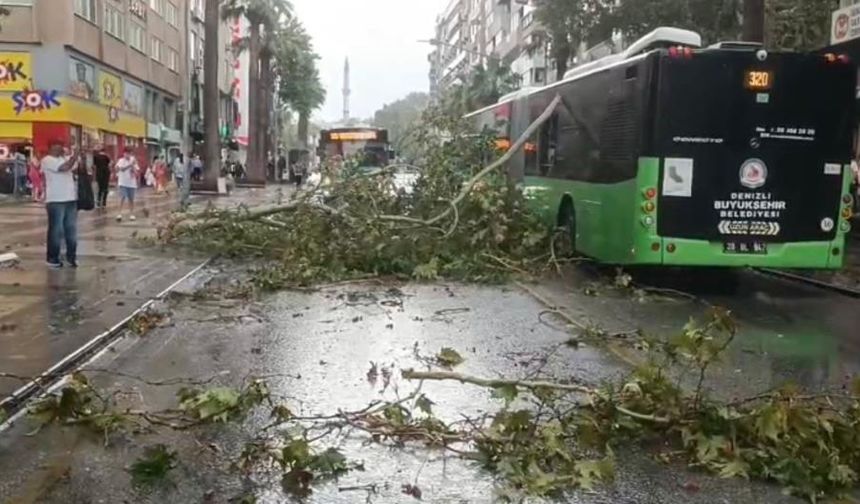 Denizli’de Belediye Otobüsünün Üzerine Ağaç Düştü