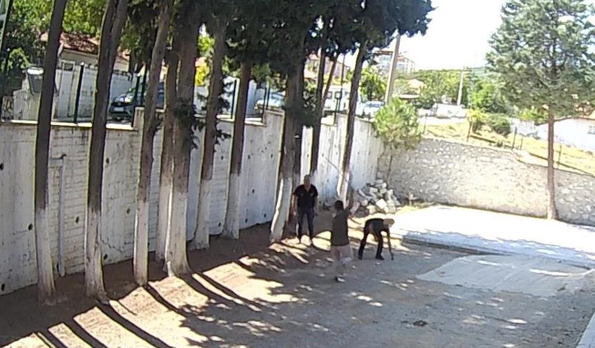 Denizli'de Belediye Başkanı Zabıtaları Sopayla Dövdü