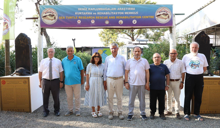PAÜ DEKAMER’de Tedavileri Tamamlanan 7 Deniz Kaplumbağası Mavi Sulara Kavuştu