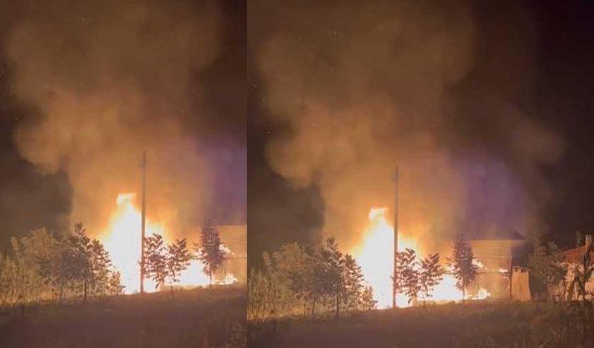 Çameli'de Korkutan Yangın: Kamelyadan Başlayıp Evin Çatısına Sıçradı