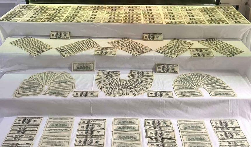 Denizli'de 35 bin 100 dolar değerinde sahte banknot ele geçirildi
