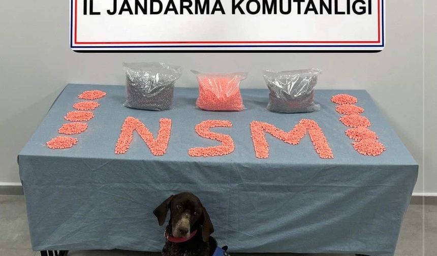 Jandarma KOM'un başarılı operasyonunda 28 bin adet uyuşturucu hap ele geçirildi