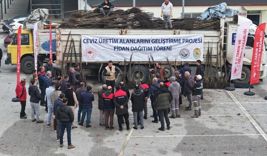 Türkiye’nin ceviz başkenti Denizli’de ceviz fidanı dağıtımı başladı