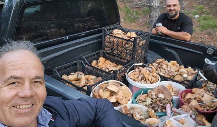 Denizli'nin Çameli ilçesi’nde cintar bereketi