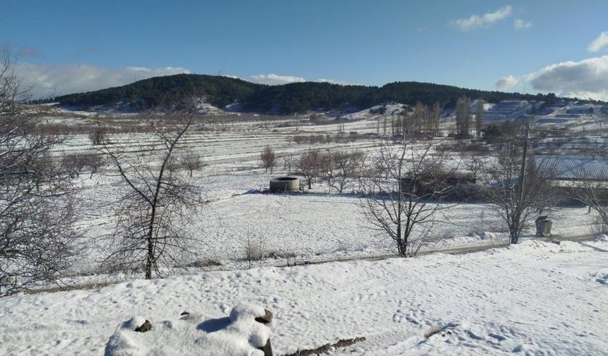 Buldan’da yılın ilk karı üreticileri sevindirdi